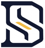 DS auto-solutions